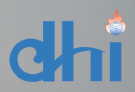 Druk Holding Investment